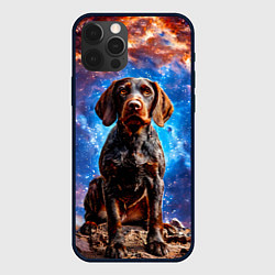Чехол для iPhone 12 Pro Max Дратхаар в космосе, цвет: 3D-черный