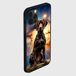 Чехол для iPhone 12 Pro Max Курцхаар и космос, цвет: 3D-черный — фото 2