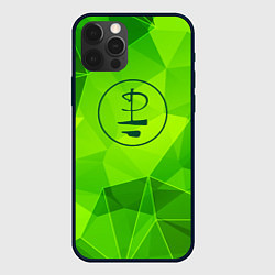 Чехол для iPhone 12 Pro Max Pink Floyd green poly, цвет: 3D-черный