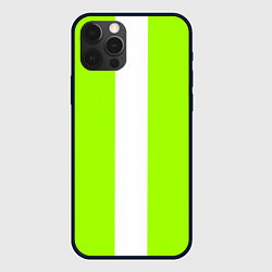 Чехол для iPhone 12 Pro Max Color light green white stripes, цвет: 3D-черный
