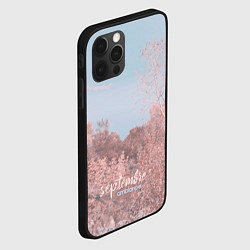 Чехол для iPhone 12 Pro Max Атмосфера сентябрь, цвет: 3D-черный — фото 2