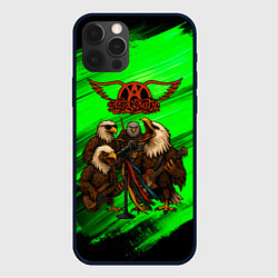Чехол iPhone 12 Pro Max Aerosmith орлы