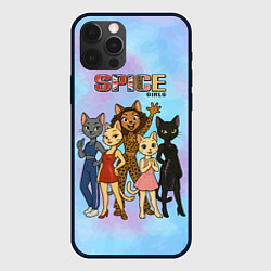 Чехол для iPhone 12 Pro Max Spice girls кошки из 90х, цвет: 3D-черный