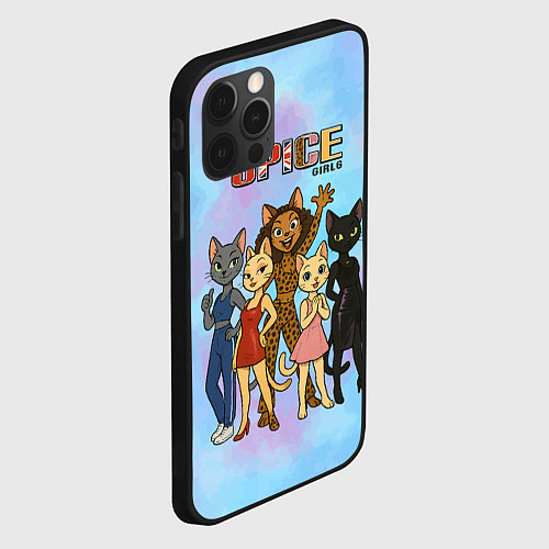 Чехол iPhone 12 Pro Max Spice girls кошки из 90х / 3D-Черный – фото 2