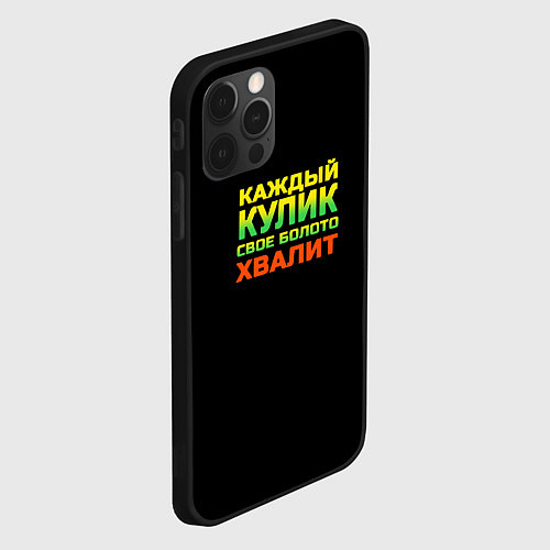 Чехол iPhone 12 Pro Max Каждый кулик свое болото хвалит разноцветный арт / 3D-Черный – фото 2
