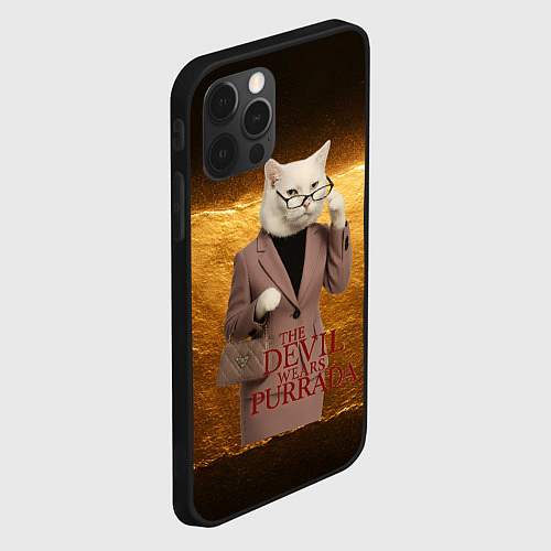 Чехол iPhone 12 Pro Max Дьявол носит Пурада пародия / 3D-Черный – фото 2