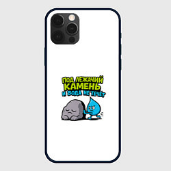 Чехол для iPhone 12 Pro Max Камень и вода серо-голубой арт, цвет: 3D-черный