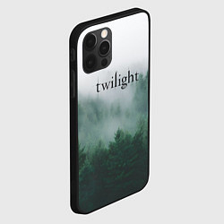Чехол для iPhone 12 Pro Max Twilight forest, цвет: 3D-черный — фото 2