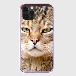 Чехол для iPhone 12 Pro Max Взгляд кошки, цвет: 3D-сиреневый
