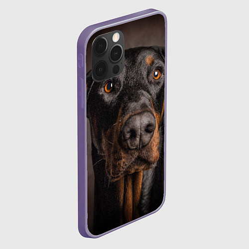 Чехол iPhone 12 Pro Max Глаза добермана / 3D-Серый – фото 2