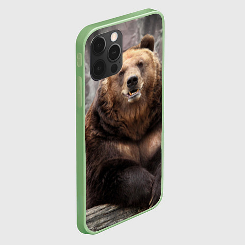 Чехол iPhone 12 Pro Max Русский медведь / 3D-Салатовый – фото 2