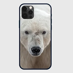 Чехол iPhone 12 Pro Белый медведь