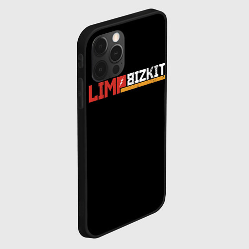 Чехол iPhone 12 Pro Limp Bizkit / 3D-Черный – фото 2