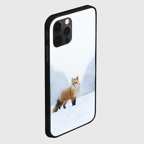Чехол iPhone 12 Pro Лиса на снегу / 3D-Черный – фото 2