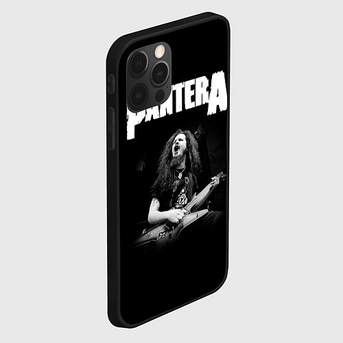 Чехол iPhone 12 Pro Pantera / 3D-Черный – фото 2