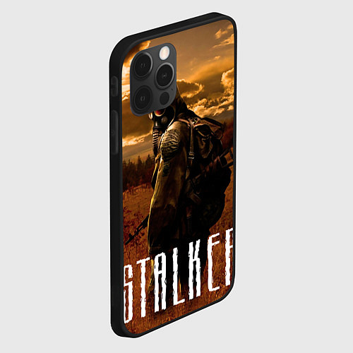 Чехол iPhone 12 Pro STALKER: Radiation / 3D-Черный – фото 2
