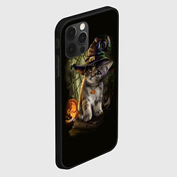 Чехол для iPhone 12 Pro Ведьмин котенок, цвет: 3D-черный — фото 2