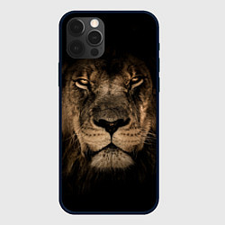 Чехол для iPhone 12 Pro Львиный взгляд, цвет: 3D-черный