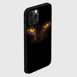 Чехол для iPhone 12 Pro Кошачий взгляд, цвет: 3D-черный — фото 2