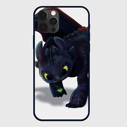 Чехол для iPhone 12 Pro Как приручить дракона, цвет: 3D-черный
