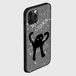 Чехол для iPhone 12 Pro Ъуъ съука на качели, цвет: 3D-черный — фото 2