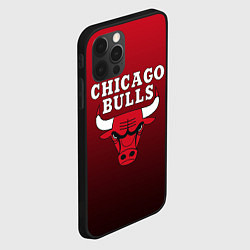 Чехол для iPhone 12 Pro CHICAGO BULLS, цвет: 3D-черный — фото 2