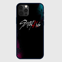 Чехол для iPhone 12 Pro STRAY KIDS, цвет: 3D-черный