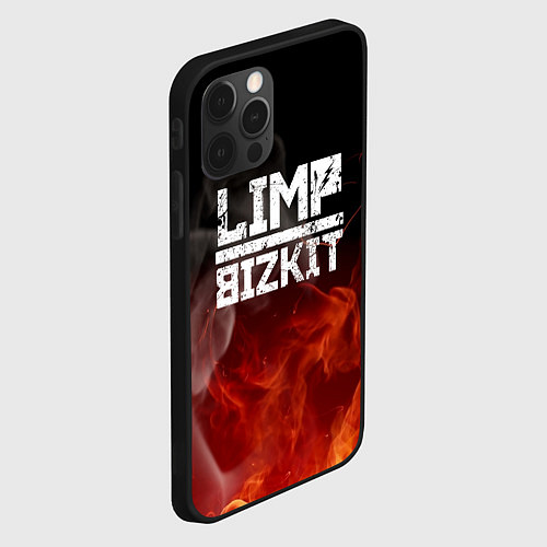 Чехол iPhone 12 Pro LIMP BIZKIT / 3D-Черный – фото 2