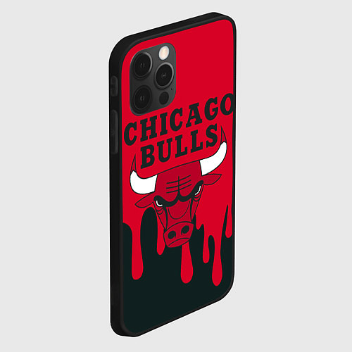 Чехол iPhone 12 Pro Chicago Bulls / 3D-Черный – фото 2