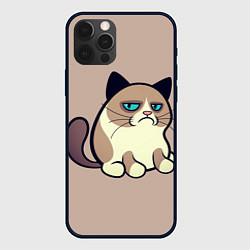 Чехол для iPhone 12 Pro Великий Grumpy Cat, цвет: 3D-черный