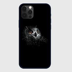 Чехол для iPhone 12 Pro Сова, цвет: 3D-черный
