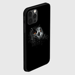 Чехол для iPhone 12 Pro Сова, цвет: 3D-черный — фото 2