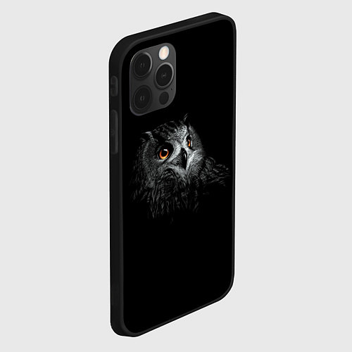 Чехол iPhone 12 Pro Сова / 3D-Черный – фото 2