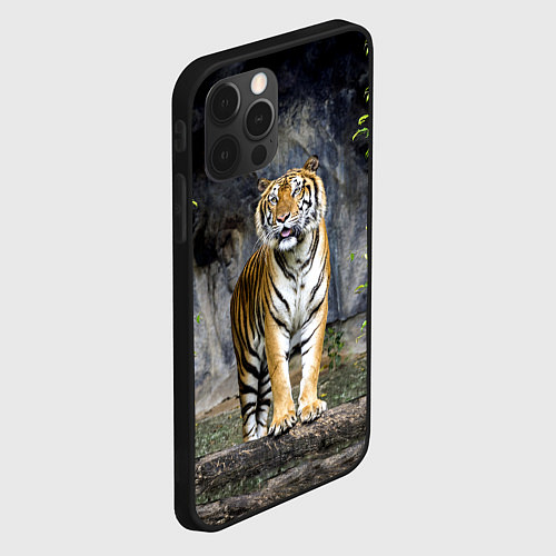 Чехол iPhone 12 Pro ТИГР В ЛЕСУ / 3D-Черный – фото 2