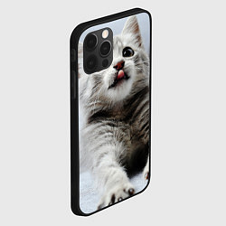 Чехол для iPhone 12 Pro Серый котенок, цвет: 3D-черный — фото 2