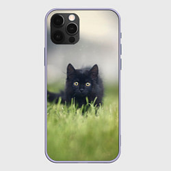 Чехол для iPhone 12 Pro Черный кот на лугу, цвет: 3D-светло-сиреневый