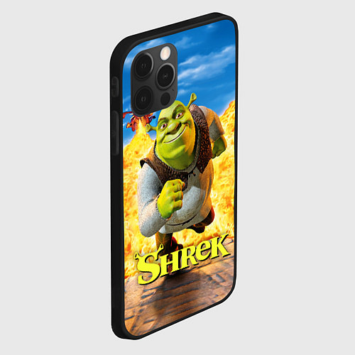 Чехол iPhone 12 Pro Шрек и дракон / 3D-Черный – фото 2