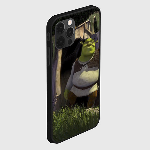 Чехол iPhone 12 Pro Shrek: Somebody Once Told Me / 3D-Черный – фото 2