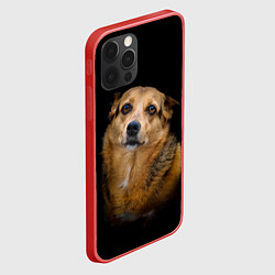 Чехол для iPhone 12 Pro ГРУСТНЫЕ ГЛАЗКИ, цвет: 3D-красный — фото 2