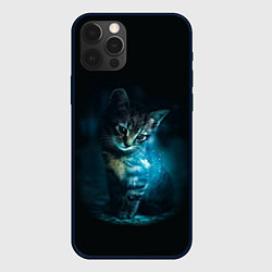Чехол для iPhone 12 Pro Красивый кот, цвет: 3D-черный