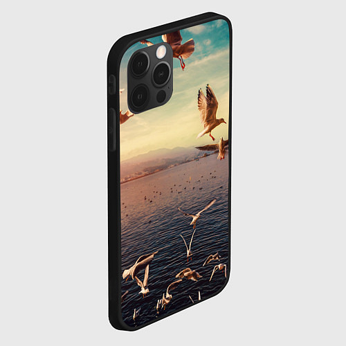 Чехол iPhone 12 Pro Чайки на воде / 3D-Черный – фото 2