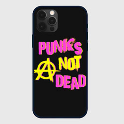 Чехол для iPhone 12 Pro Панк анархия, цвет: 3D-черный