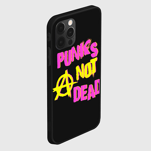 Чехол iPhone 12 Pro Панк анархия / 3D-Черный – фото 2