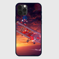 Чехол для iPhone 12 Pro AMY ROSE SONIC СОНИК Z, цвет: 3D-черный