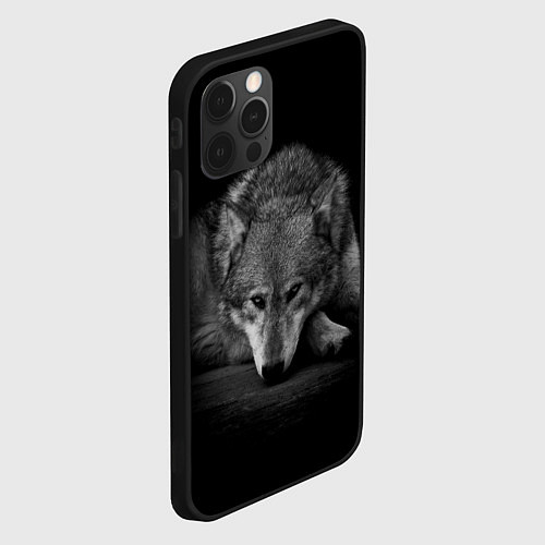 Чехол iPhone 12 Pro Волк, на черном фоне / 3D-Черный – фото 2