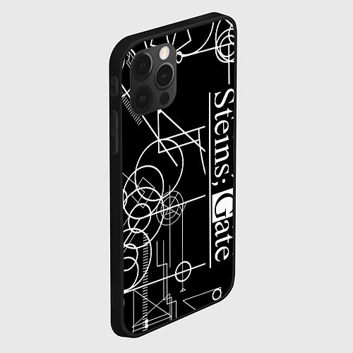 Чехол iPhone 12 Pro SteinsGate Врата Штейна / 3D-Черный – фото 2
