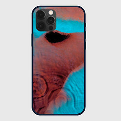 Чехол для iPhone 12 Pro Meddle - Pink Floyd, цвет: 3D-черный