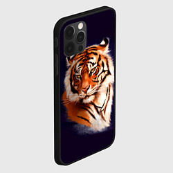 Чехол для iPhone 12 Pro Грозный Тигр Символ 2022 Года Tiger Beast, цвет: 3D-черный — фото 2