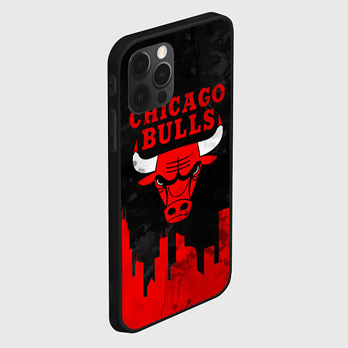 Чехол iPhone 12 Pro Chicago Bulls, Чикаго Буллз Город / 3D-Черный – фото 2