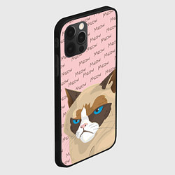 Чехол для iPhone 12 Pro Angry Cat Злой кот, цвет: 3D-черный — фото 2